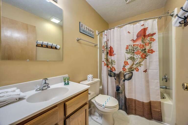 3rd Floor Hall Bathroom with Shower/Tub Combo