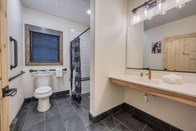 1st Floor Accessible Hall Bathroom with Roll In Shower