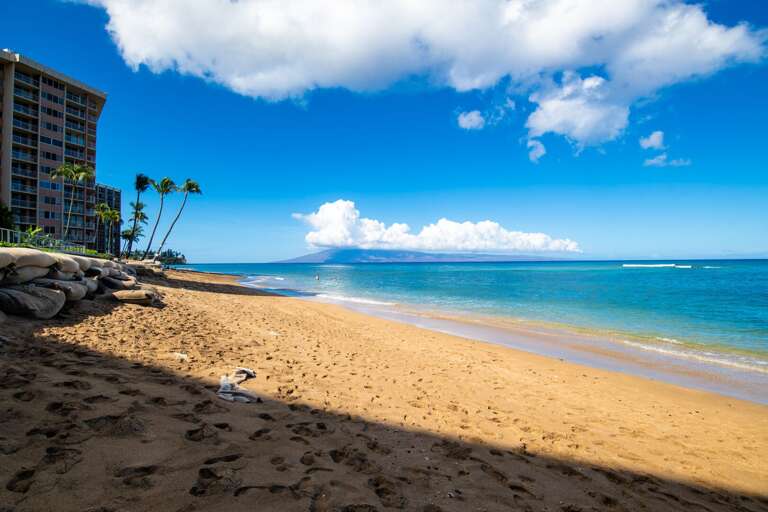 Family friendly beach right outside of the building,