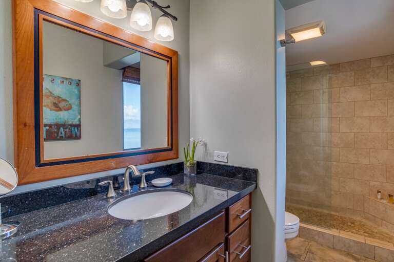 Updated Lahaina Vacation Rental