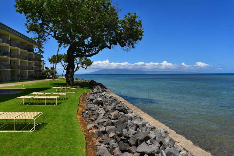 Lahaina Condo Rental