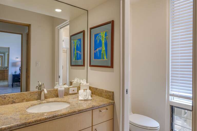 Bathroom with door to separate toilet and shower.
