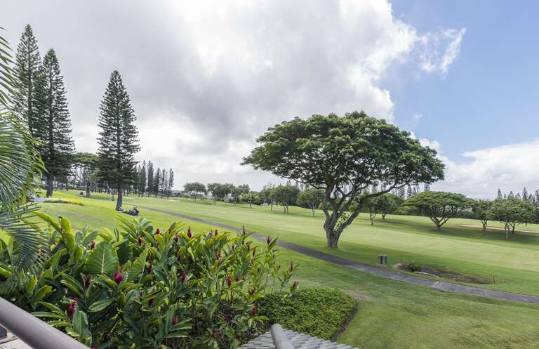 Kapalua Golf Villa 15T1