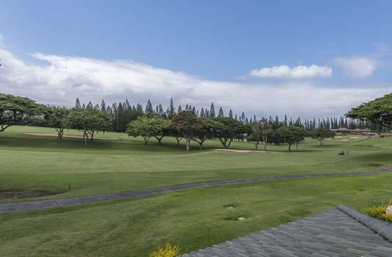Kapalua Condo Rental
