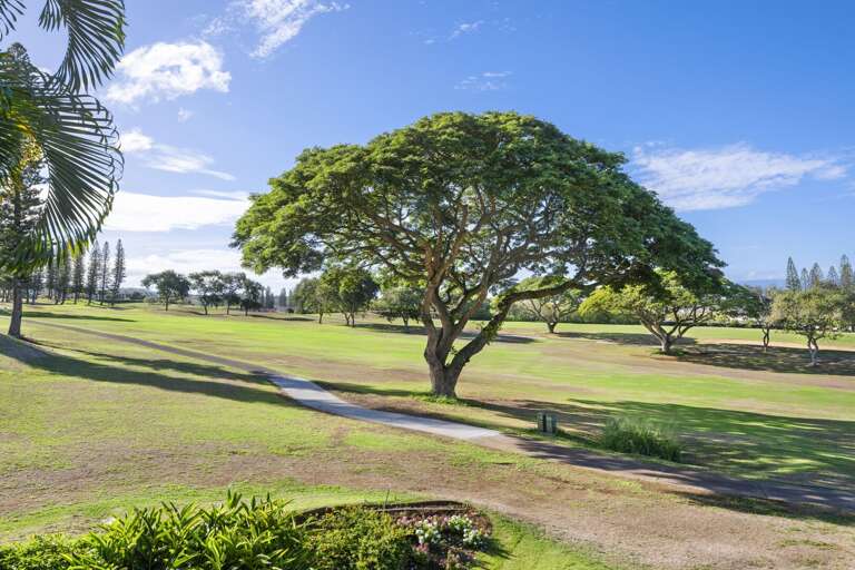 Kapalua Golf Villa - golf course view