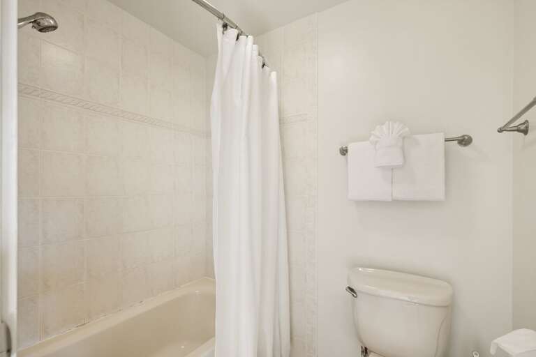 Upstairs Master bathroom