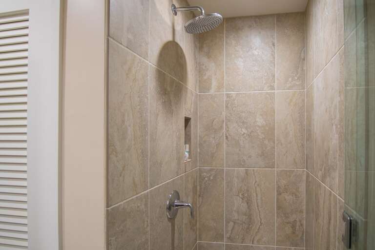 shower in guest bathroom