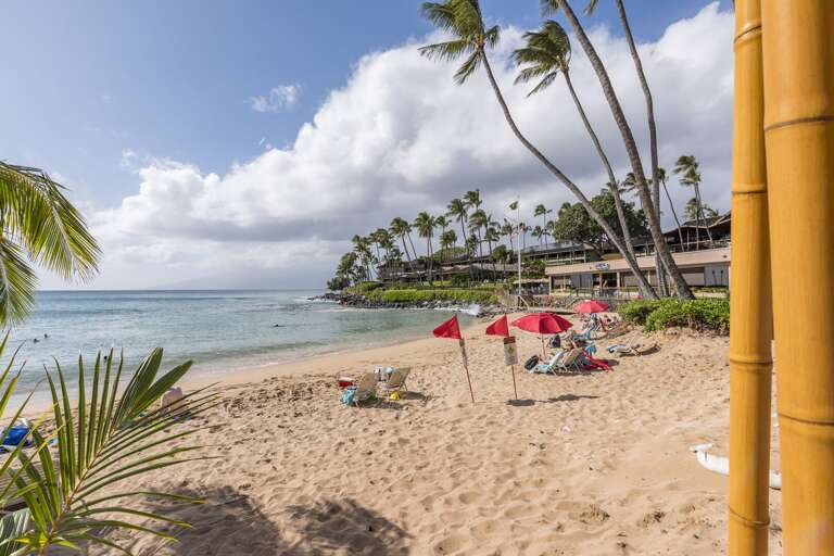 Find Rentals Find Rentals