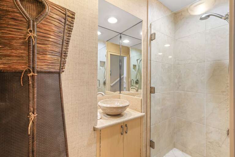 Guest bathroom with walk-in shower