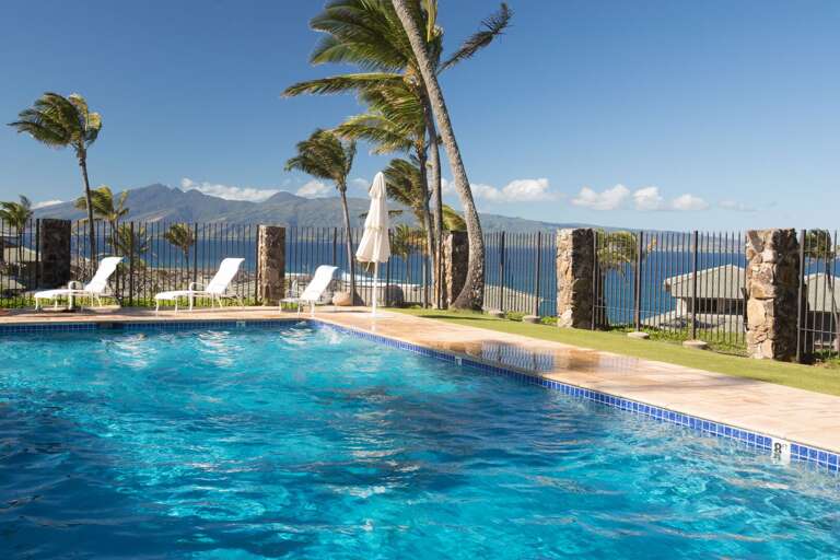 Oceanfront pool with lounge seating and swaying palm trees.
