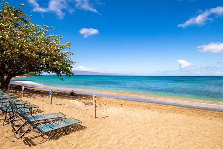 Beach in Front of Our Condo