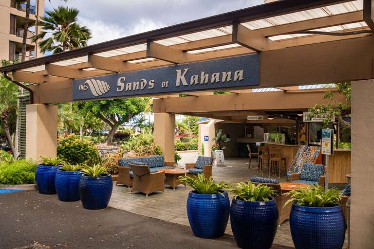 Check-in Here for your Vacation in Paradise