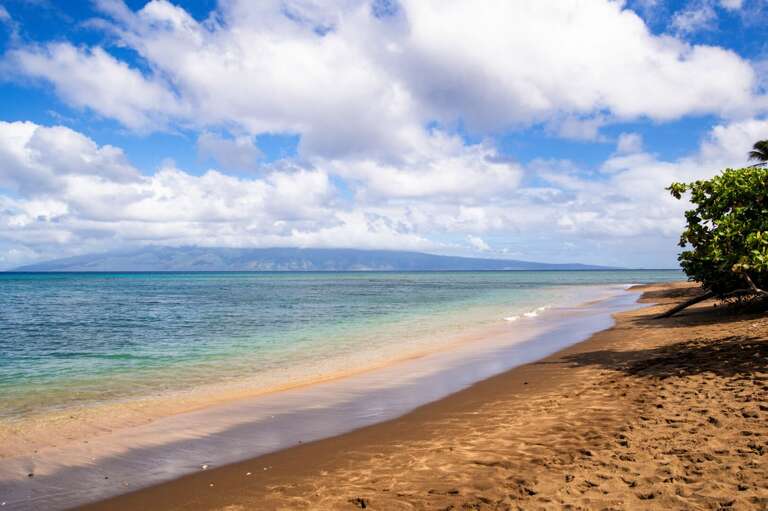 North Side Beach at Condo
