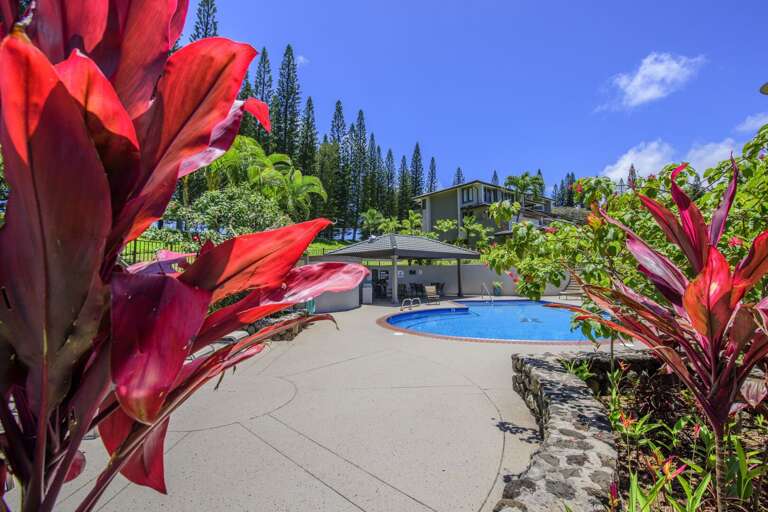 Well-maintained garden surrounding the pool area