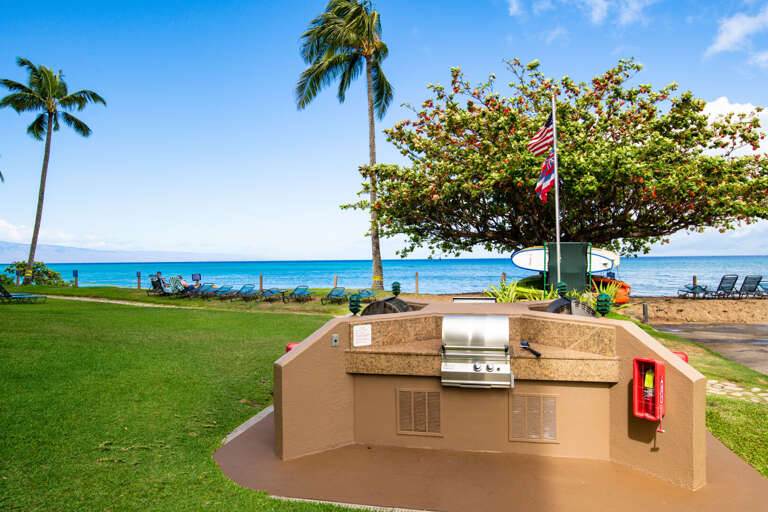 Great Spot to BBQ Just Outside Our Building * Several Gas Barbecue Areas