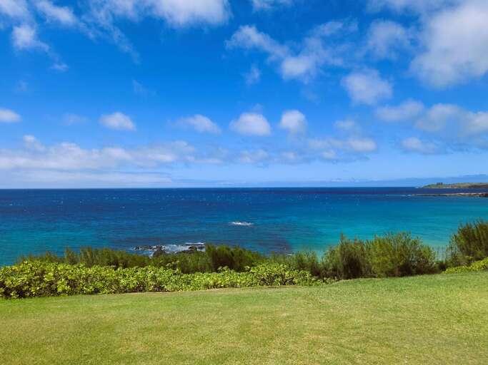 Pacific Ocean Front Location