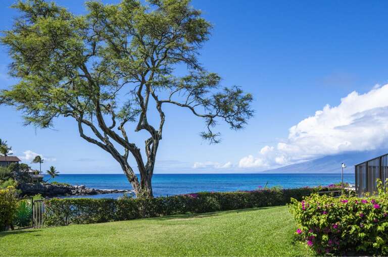 Napili Point A26 Napili Point A26