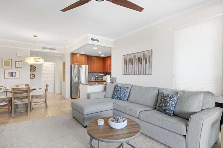 Comfortable Queen-size sleeper sofa