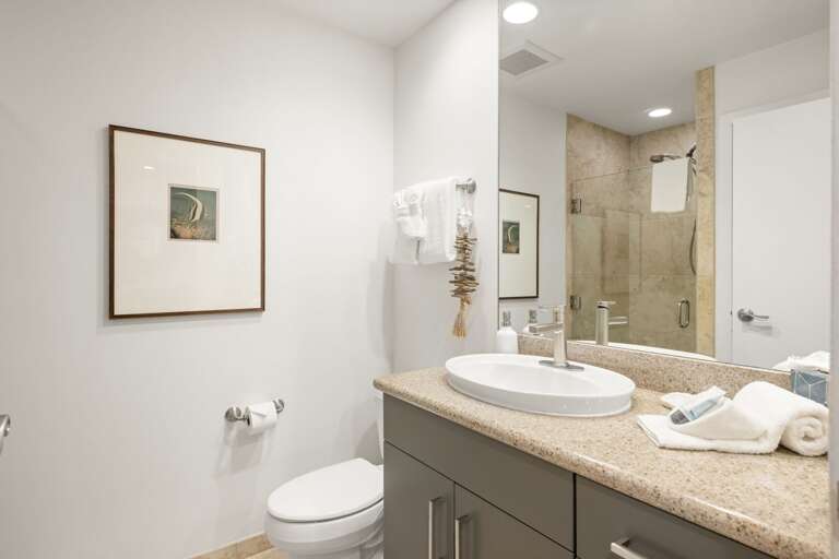 Guest bathroom with shower and washer/dryer
