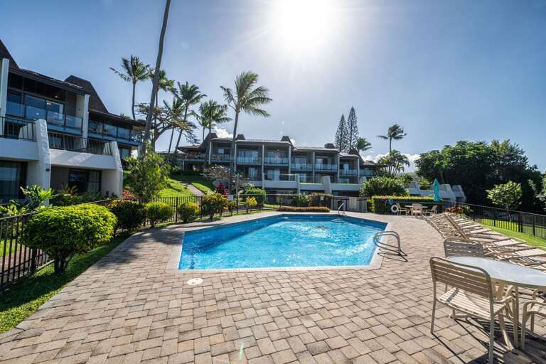 Sun-soaked Vacation Rental Showcasing Pool And Palms