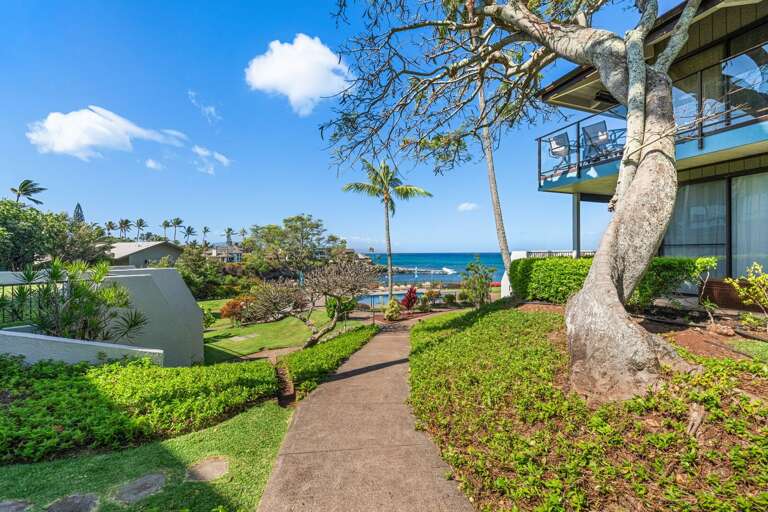 Pathway Passing Plush Greenery Leading To Blue Ocean View Beside Building