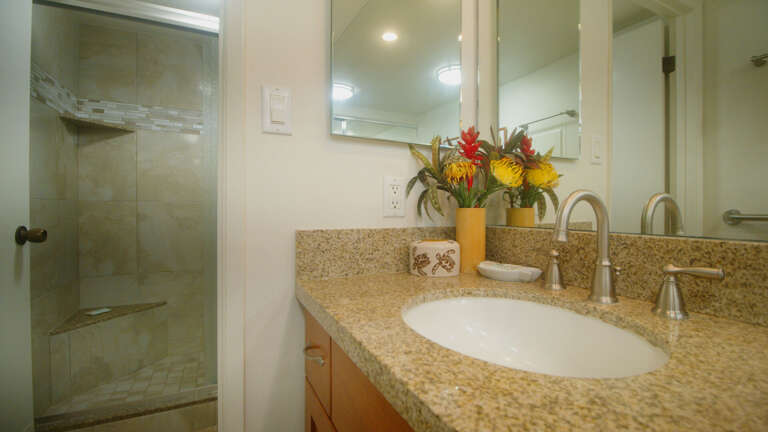 step-in shower step-in shower