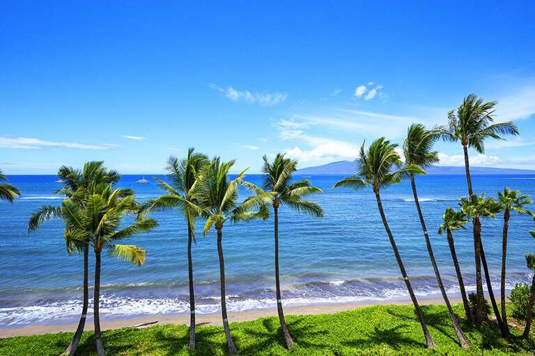Lahaina Shores #533 Lahaina Shores #533