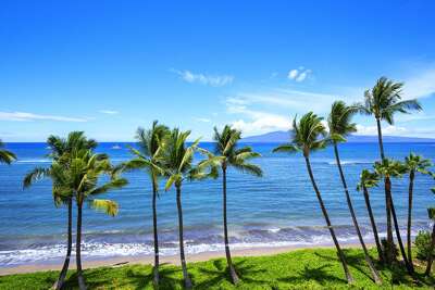 Lahaina Shores #533 Lahaina Shores #533