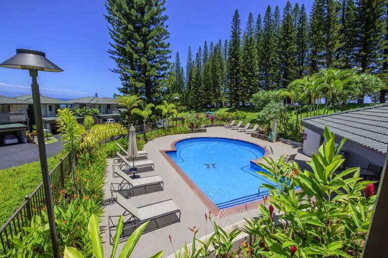 Vacation Rental Pool Encircled By Tall Trees Under Sunny Skies