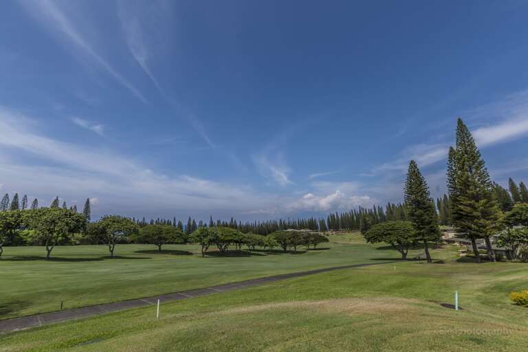 Vivid Vista Of Verdant Golf Greens Under Vibrant Blue Sky