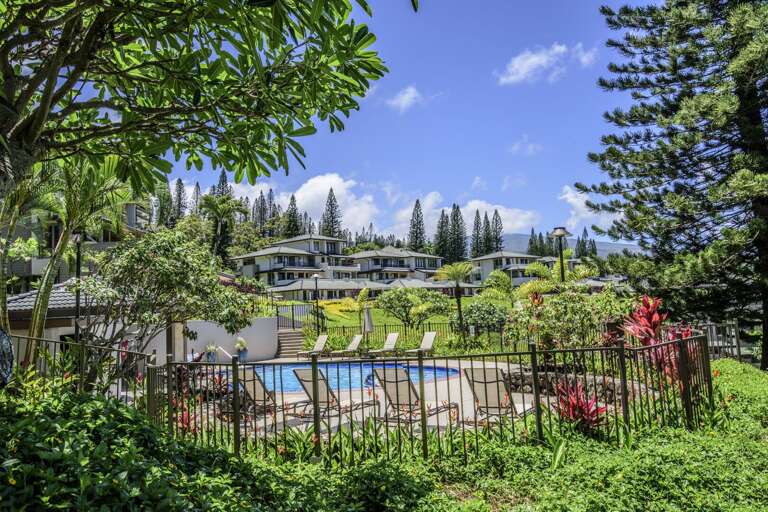 Poolside Paradise, Plush Palms, Pristine Premises