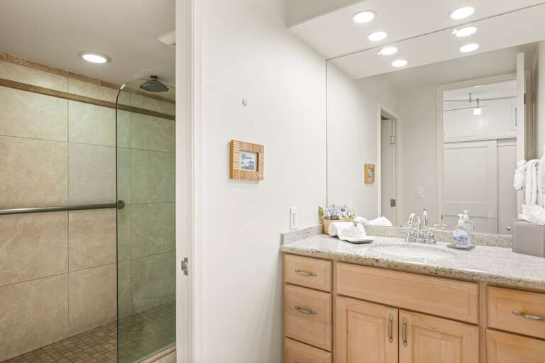bathroom with walk in shower