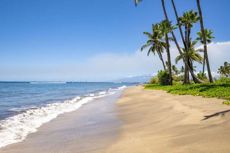 Lahaina Condo Rental Lahaina Condo Rental