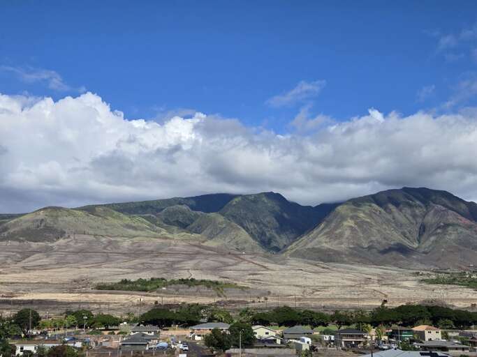 Lahaina Condo Rental