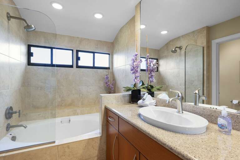 Tub with shower