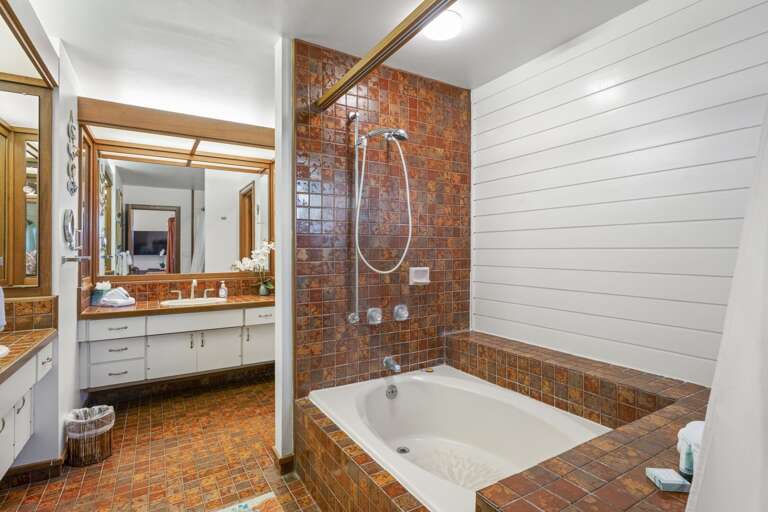 Bathroom features a soaking tub and shower option
