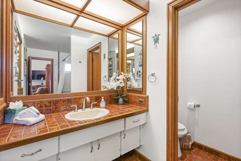 pocket door for privacy