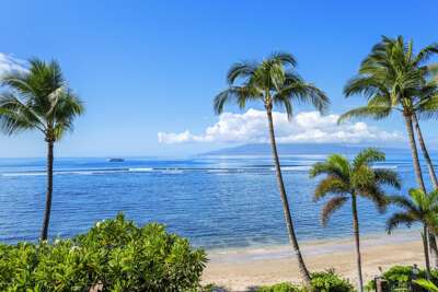Lahaina Shores #309