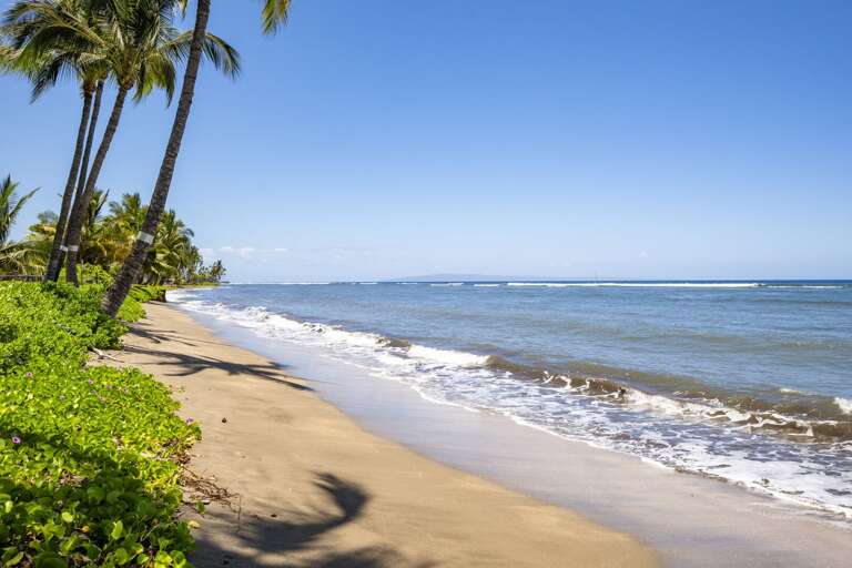 Lahaina Condo Rental