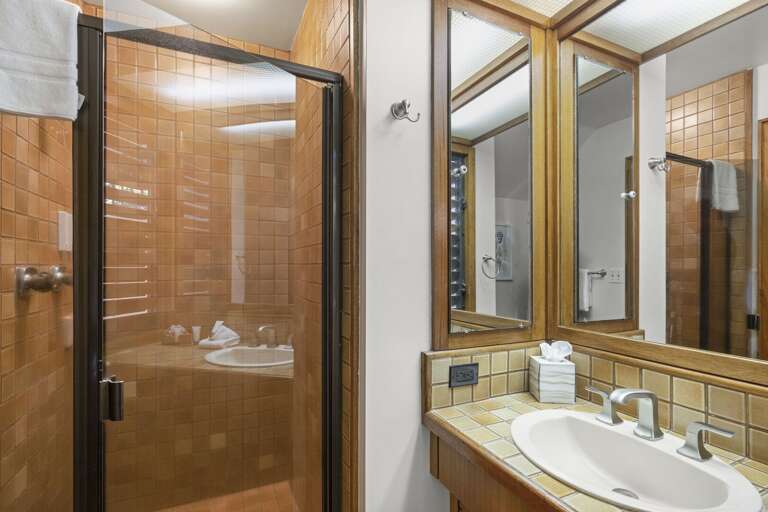 Guest bathroom step-in shower
