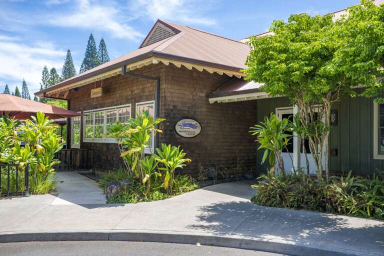 Find Rentals