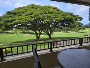 Kapalua Golf Villa 14T3