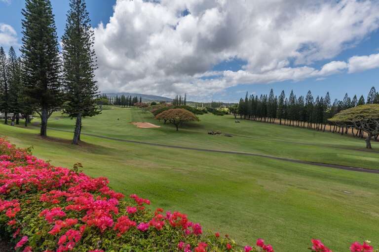Lahaina  Rental