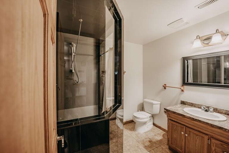 Downstairs bathroom with shower