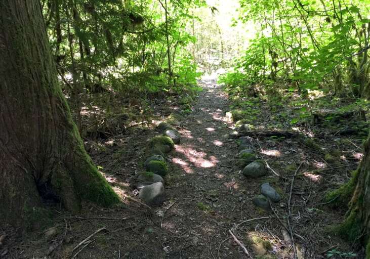 Mt.Baker Rim Community