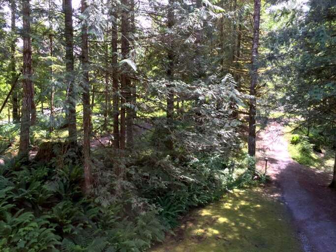 Snowater Community trail