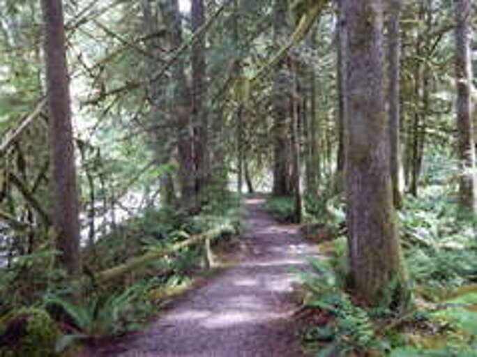 Snowater Community trail Snowater Community trail