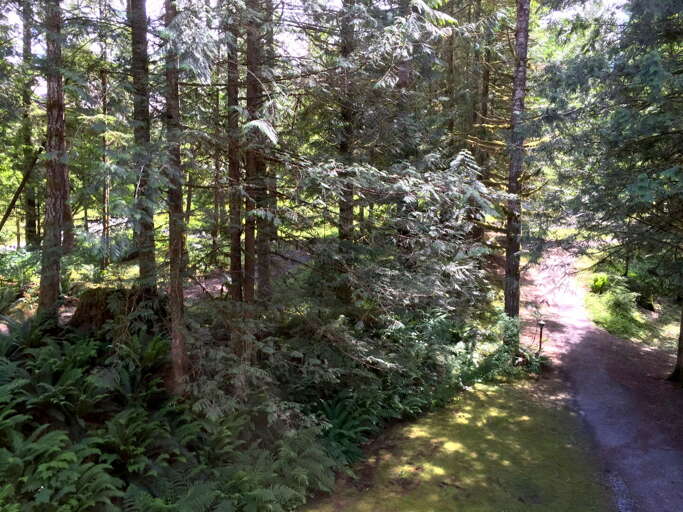 Snowater Community trail Snowater Community trail