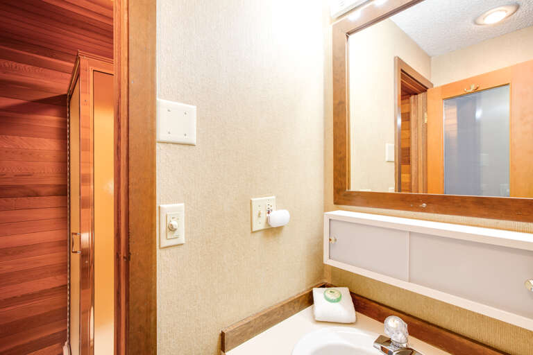 Downstairs bathroom with shower