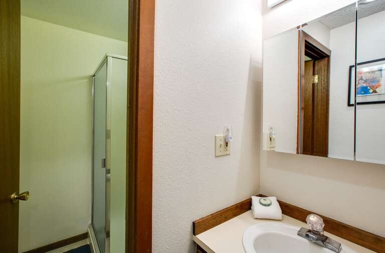 Downstairs bathroom with shower